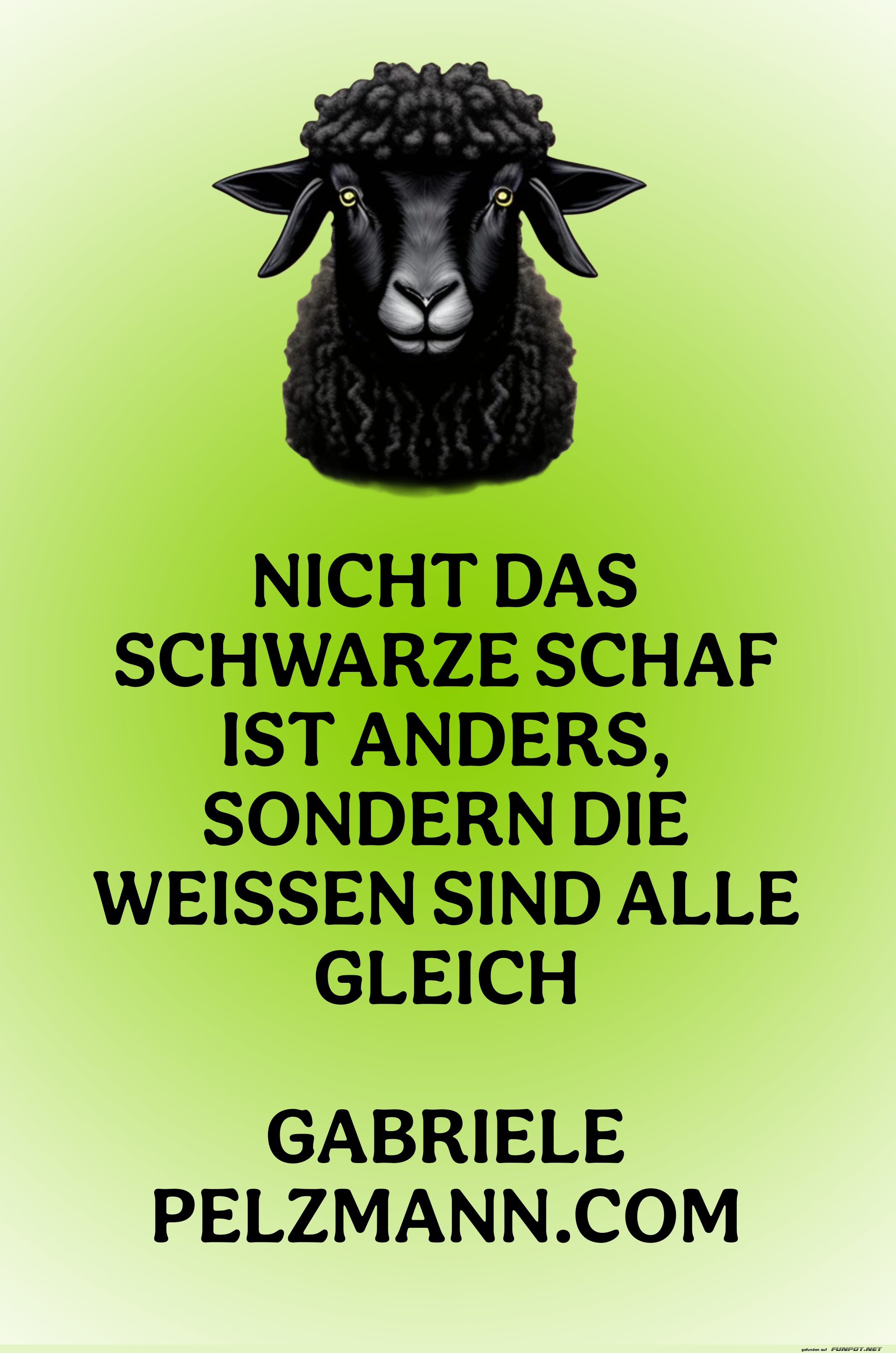 nicht das schwarze schaf