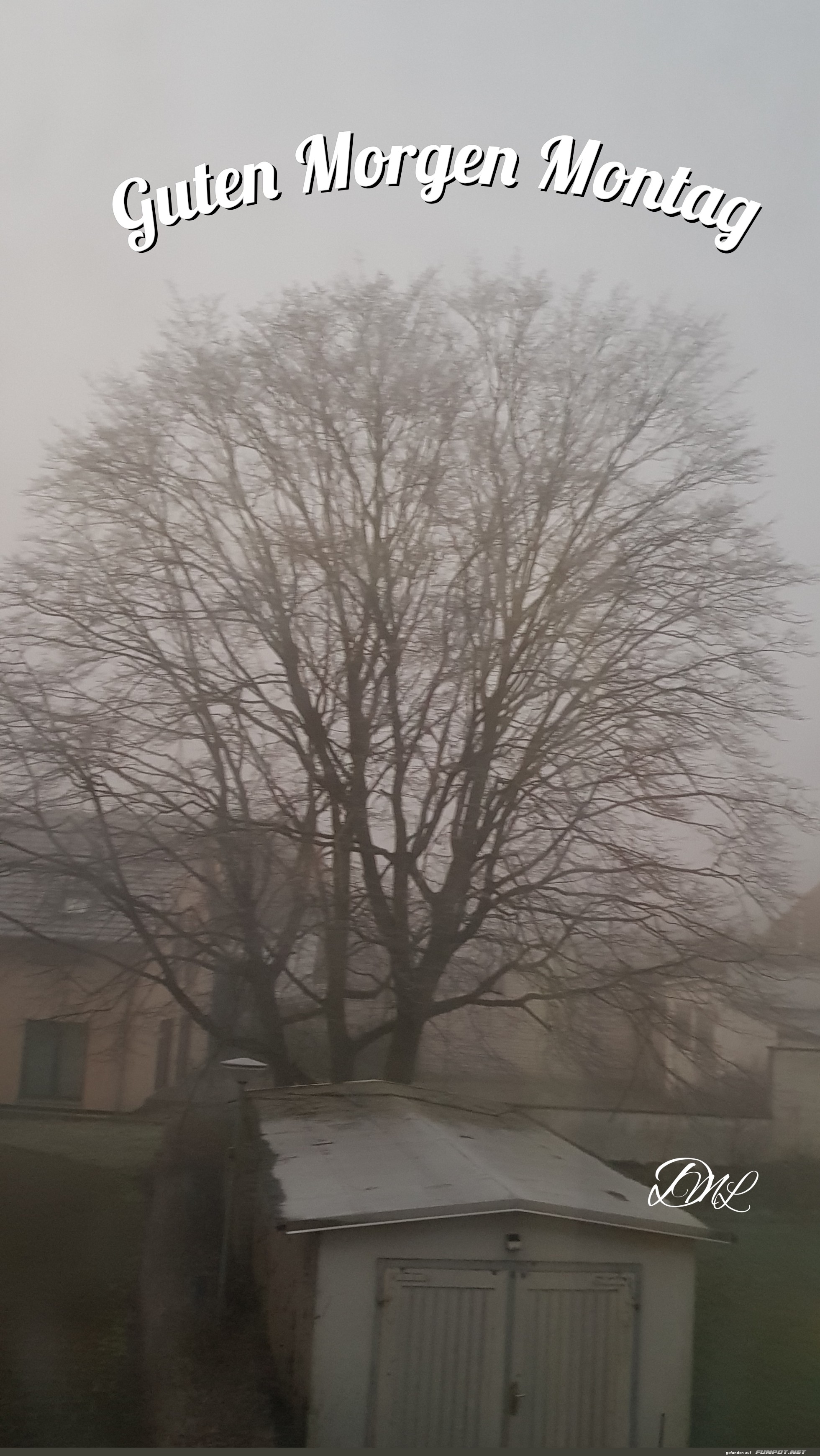 Nebeliger Morgen mit Baum im Winter