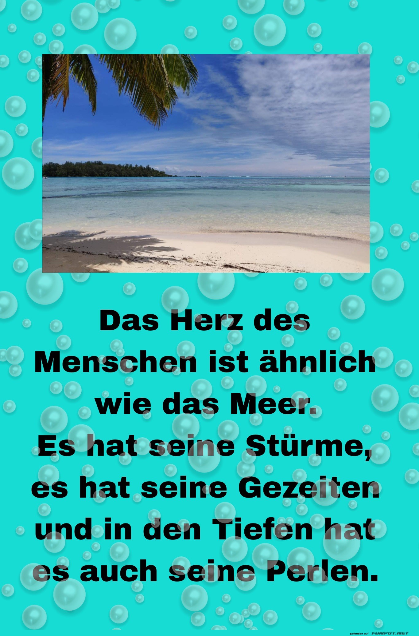 Das Herz und das Meer: Ein Vergleich