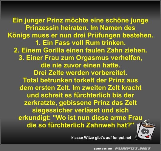 Ein junger Prinz mchte eine schne junge Prinzessin...