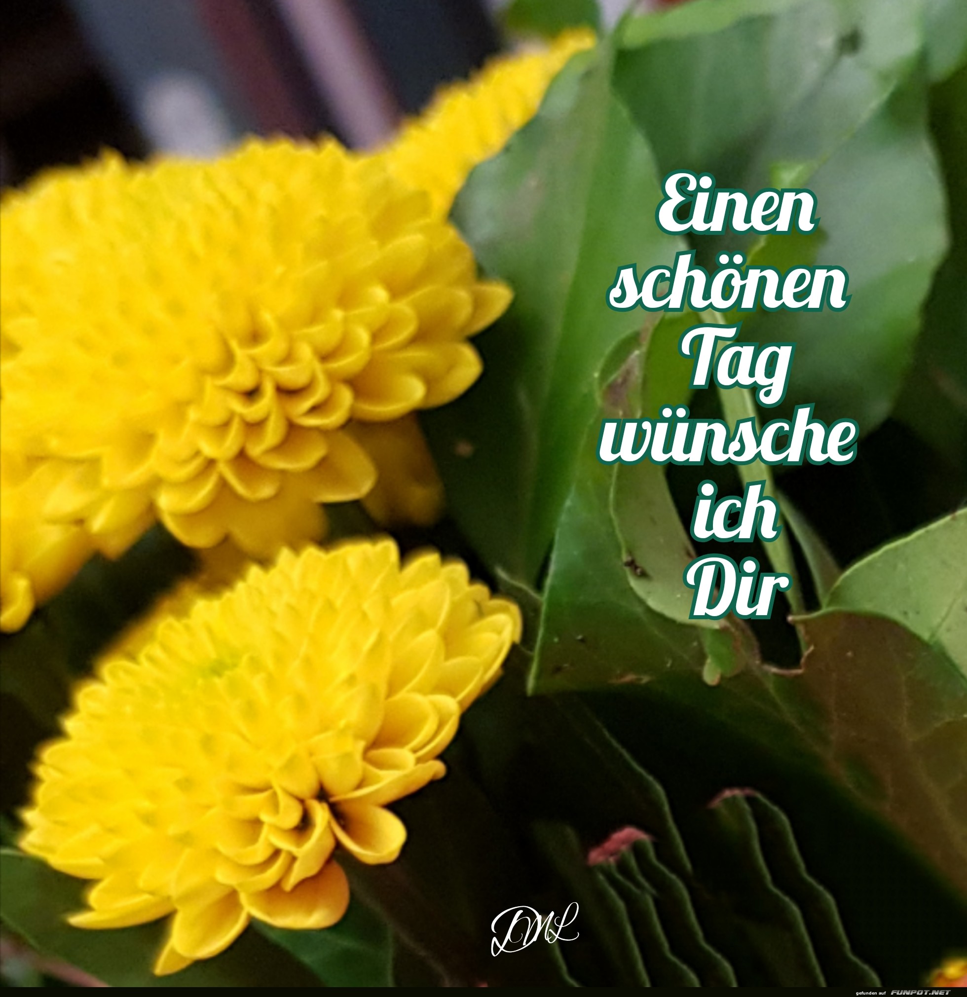 Blumen und ein schner Gru