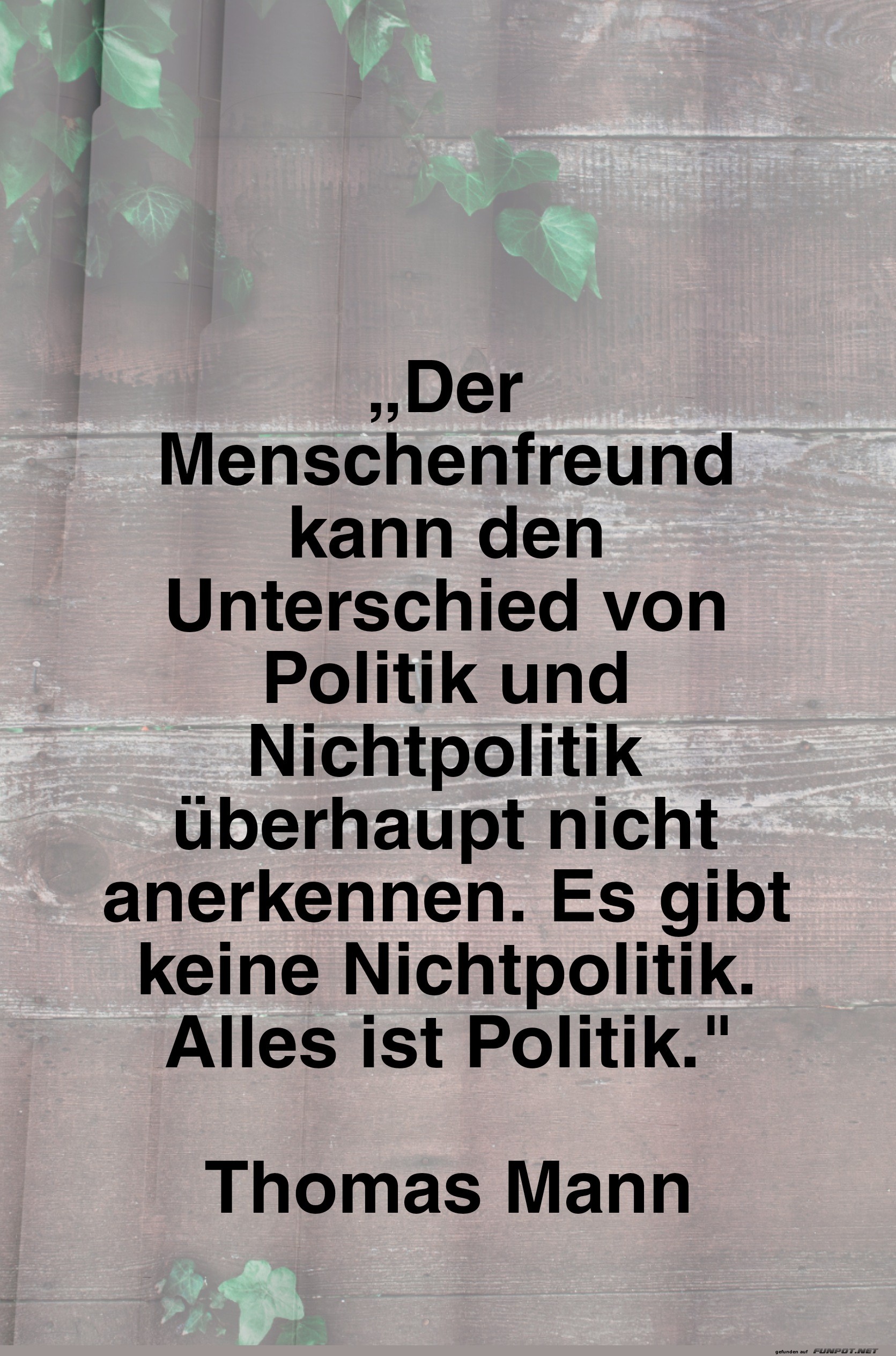 Zitat von Thomas Mann ber Politik