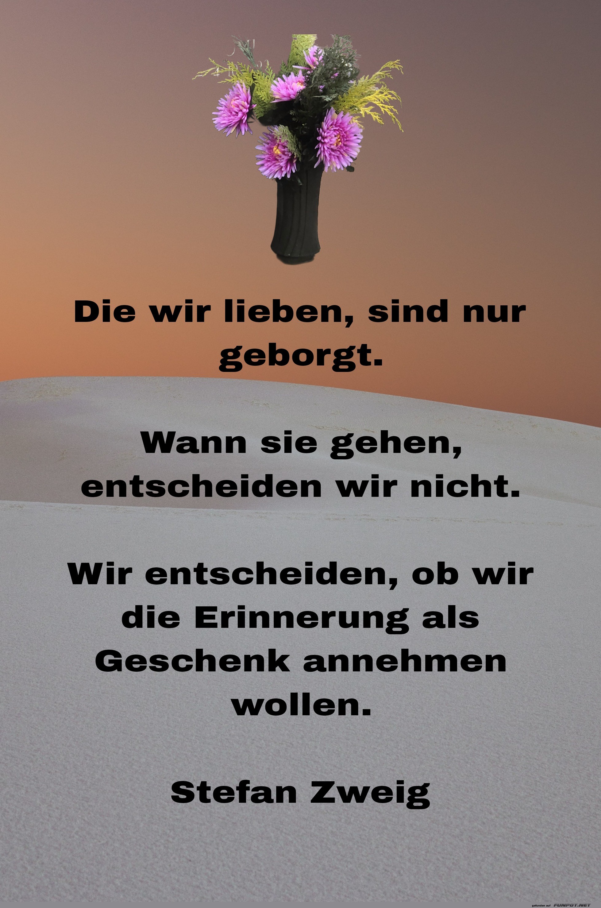 die wir lieben