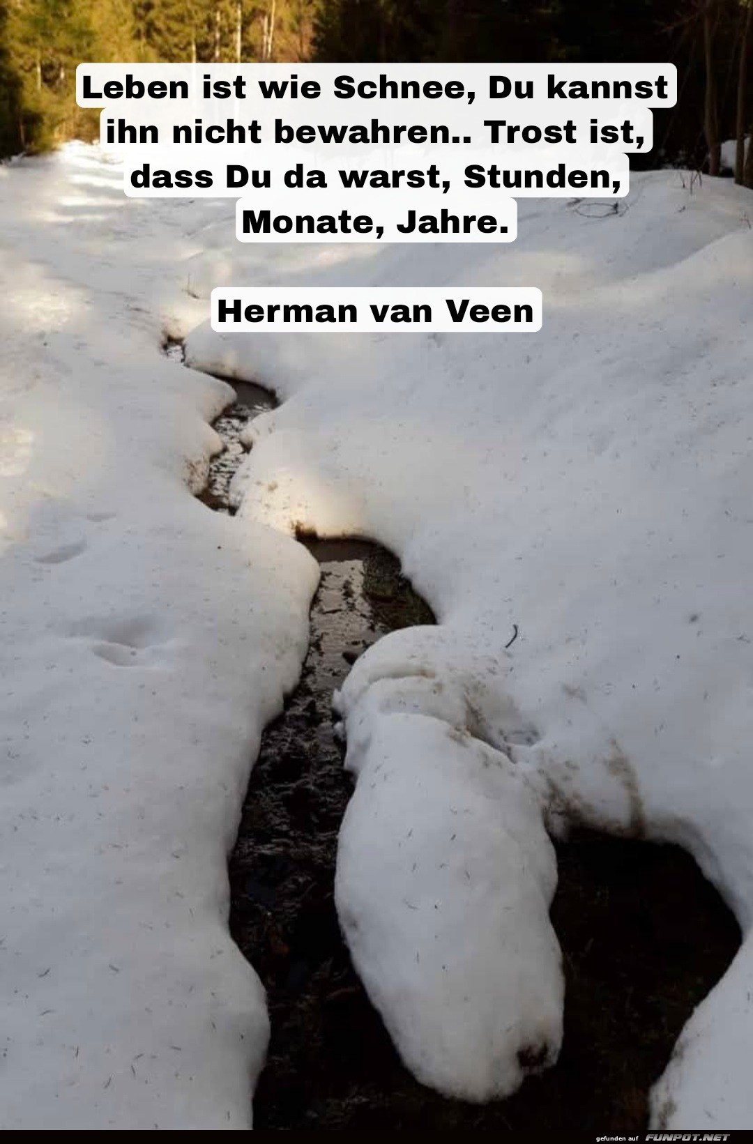 Leben ist wie Schnee