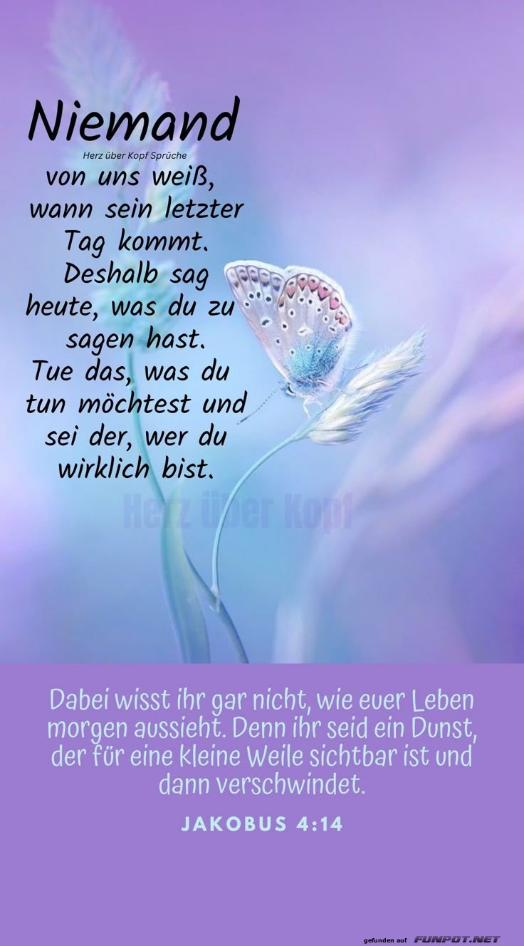 Niemand von uns weiß wann der letzte Tag kommt Niemand von uns weiß wann der letzte Tag kommt