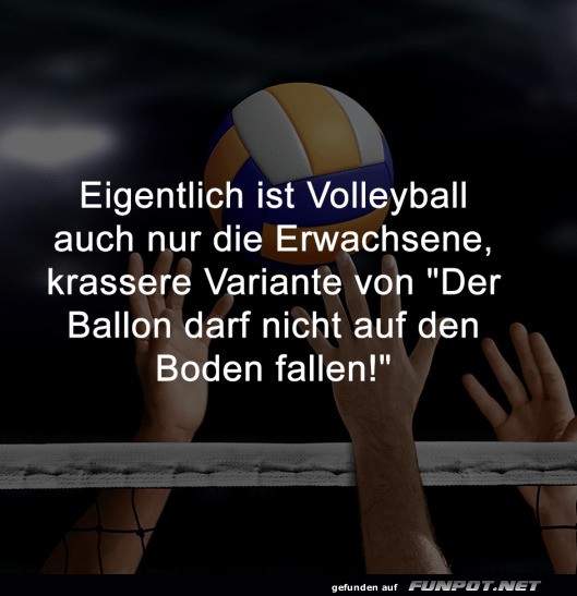 Volleyball