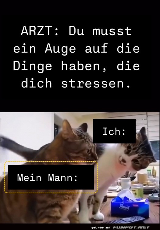 Tierischer Stressbewltigungstip vom Arzt