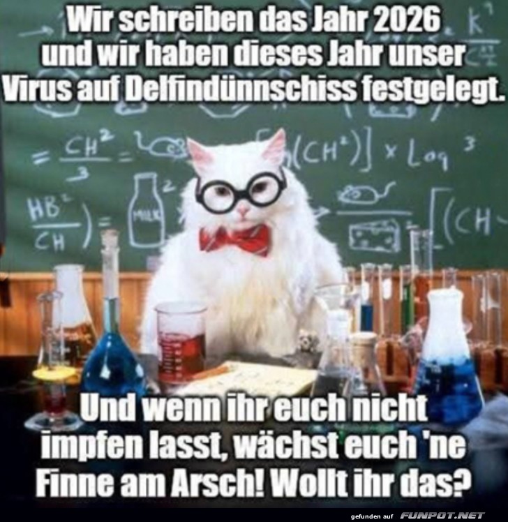 Wissenschaftskatze und das Jahr 2026