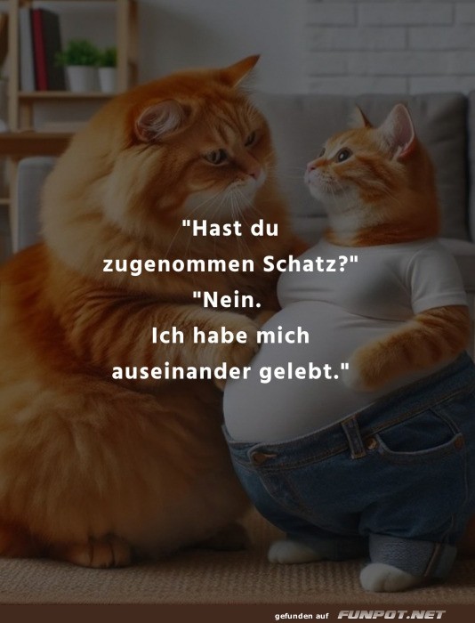 Zwei Katzen mit humorvollem Dialog