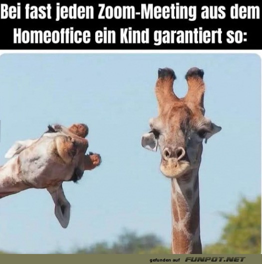 Lustige Zoom-Meetings mit Kindern