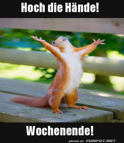 Freude ber das Wochenende!