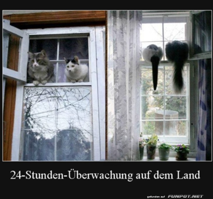 24-Stunden-berwachung auf dem Land