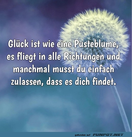 Glck und Pusteblumen