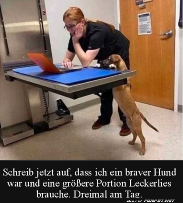 Hund fordert grere Portion Leckerlies