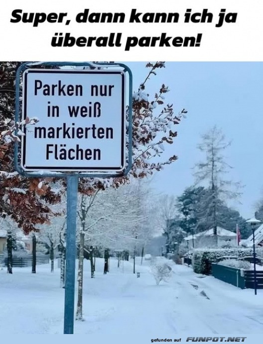 Parklust im Schnee