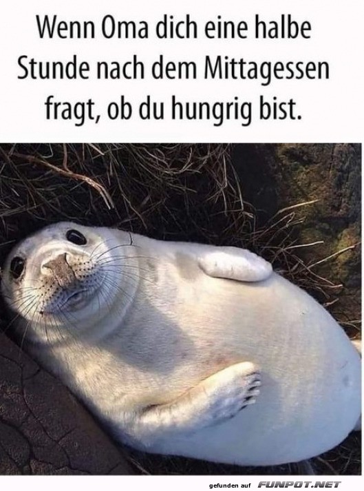 Wenn Oma fragt, ob du hungrig bist...