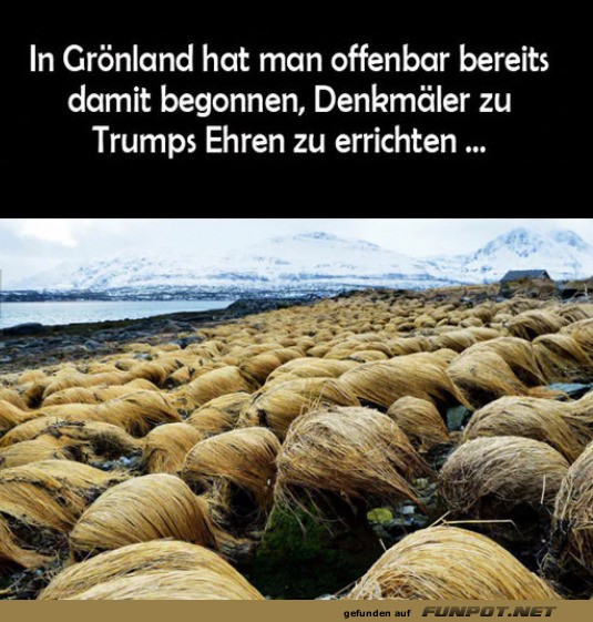 Humorvolle Skulpturen in Grönland Humorvolle Skulpturen in Grönland