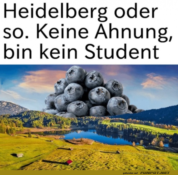 Humorvolle Heidelbeeren in malerischer Natur