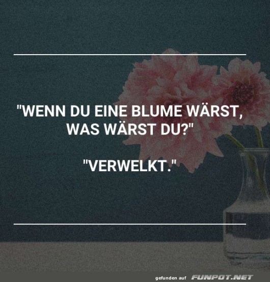 Nachdenklicher Spruch mit Blume im Hintergrund