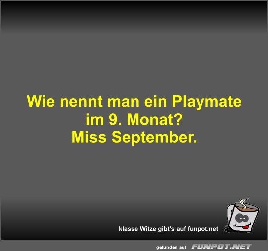 Wie nennt man ein Playmate im 9