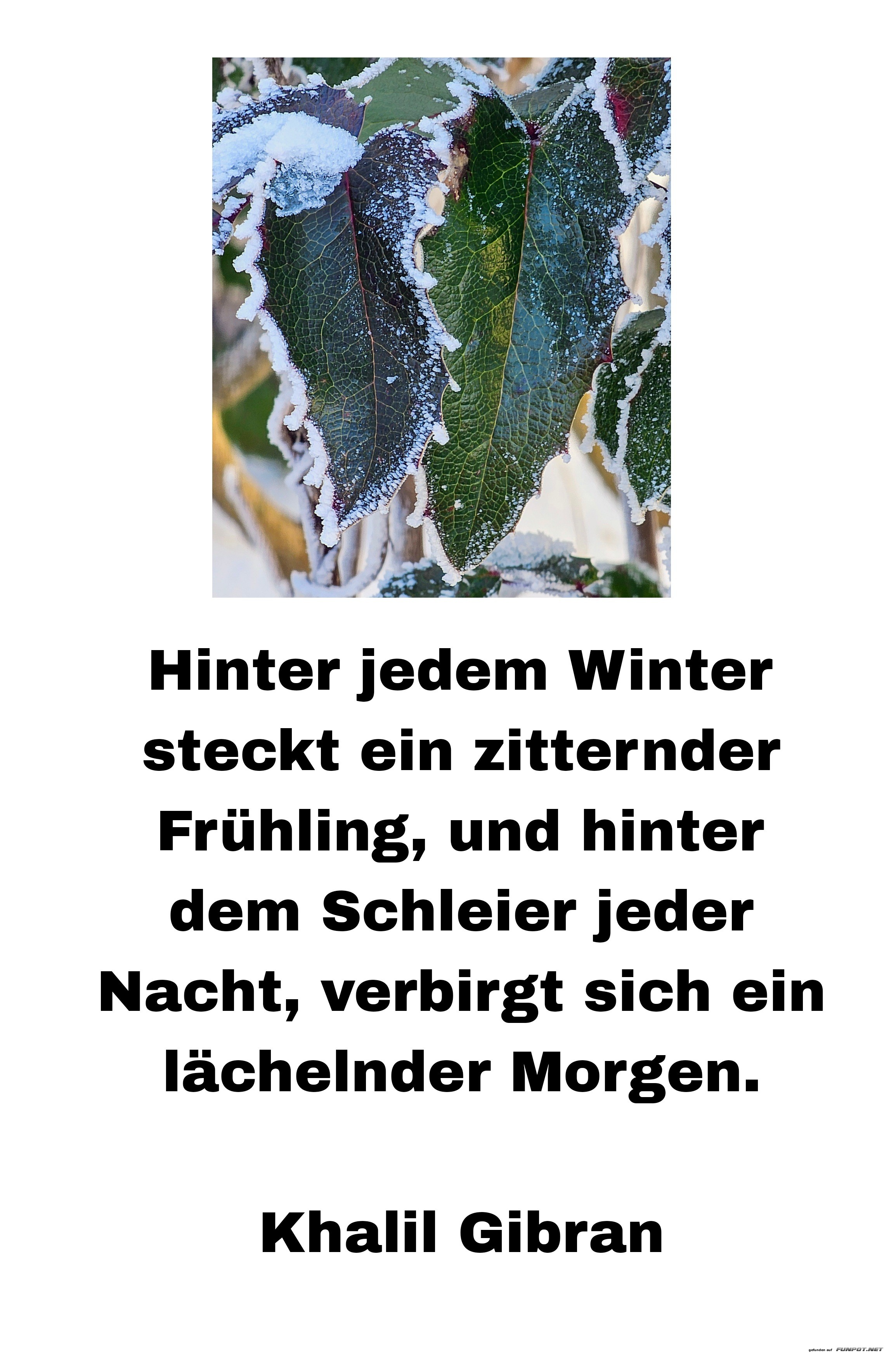 Hinter jedem Winter steckt ein Frhling