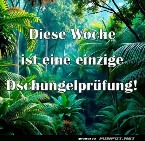 Diese Woche