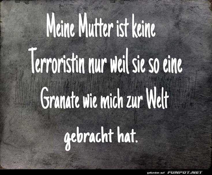 Meine Mutter ist keine Terroristin