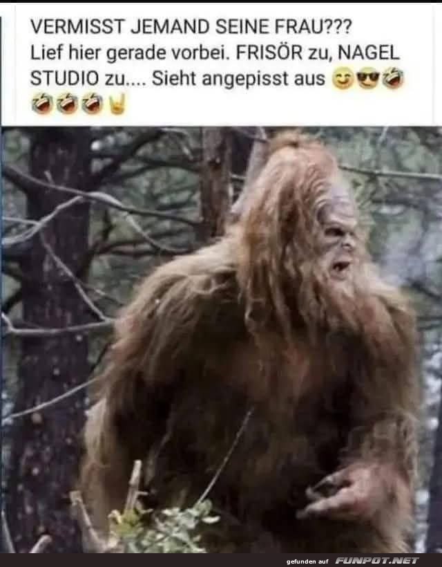 Vermisst jemand seine Frau? Lustiger Bigfoot-Meme