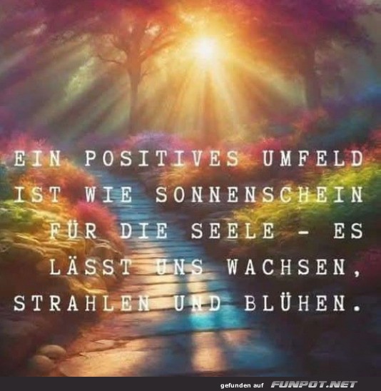 Ein positives Umfeld bringt Wachstum