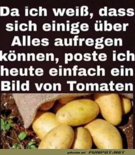 Lustiges Bild mit vermeintlichen Tomaten