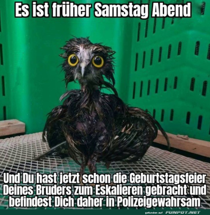 Wenn der Samstagabend eskaliert Wenn der Samstagabend eskaliert