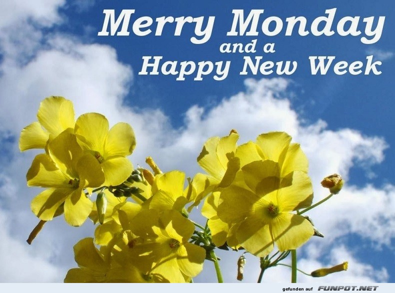 Merry-Monday-Happy-New-Week