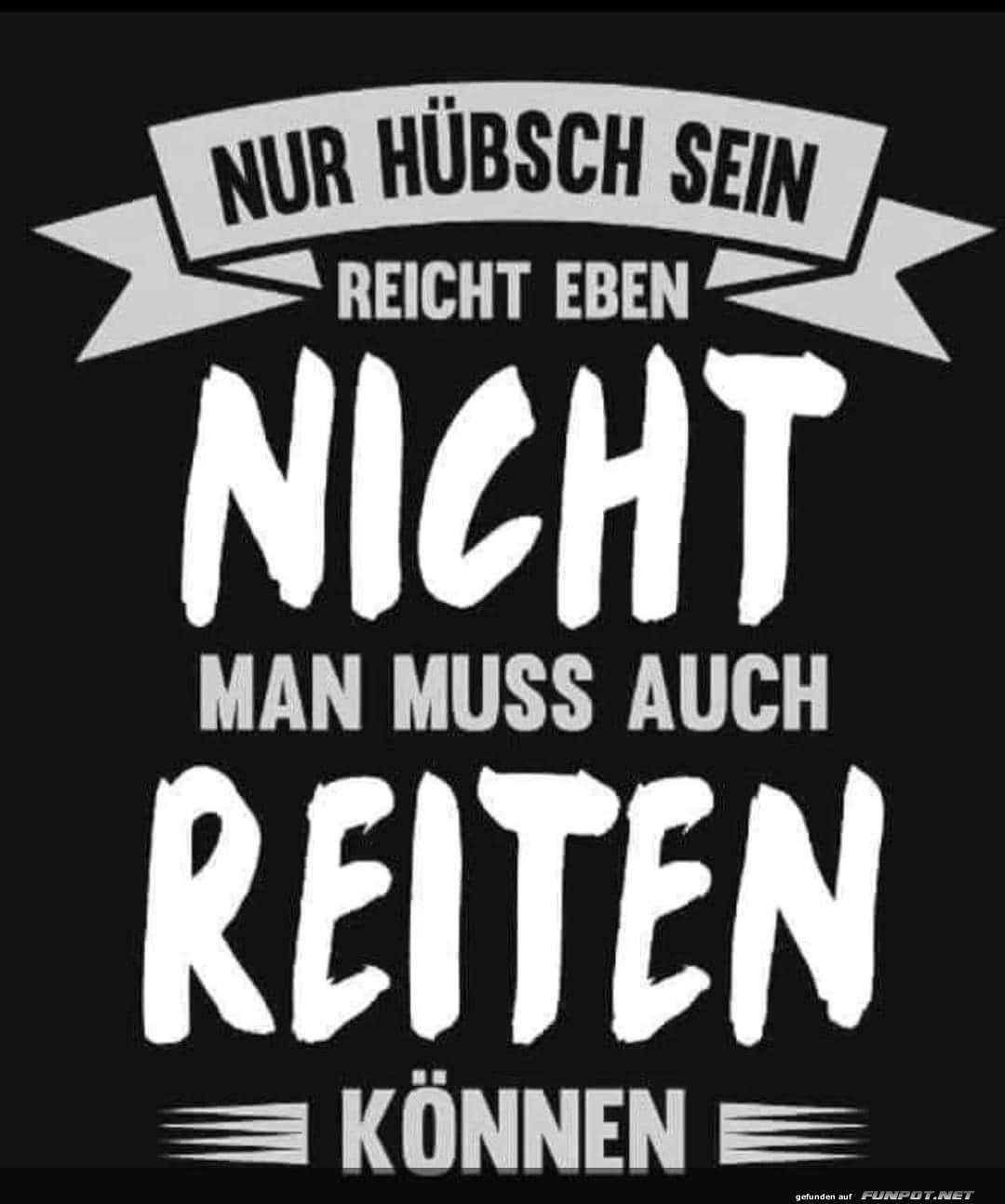 Witziger Spruch fr Pferdeliebhaber