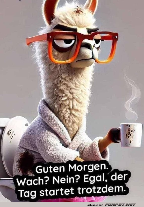 Müdes Lama mit Kaffee startet in den Tag