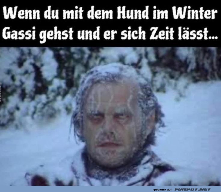 Wenn der Hund im Winter trdelt