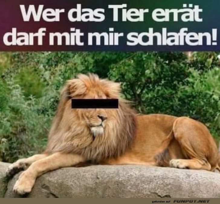 Rtselhaftes Tierbild mit humorvollem Text