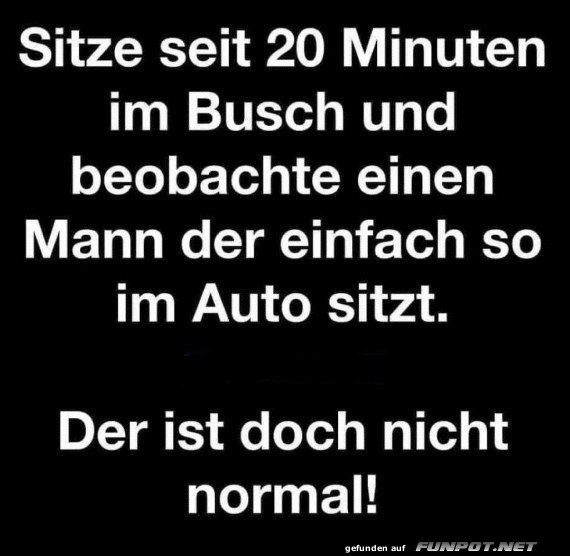 Komischer Moment im Busch