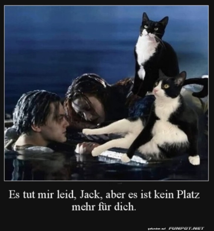 Katzen und Titanic: Kein Platz fr Jack