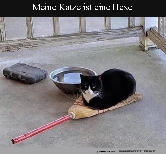 Katzenmagie: Hexe bei der Arbeit