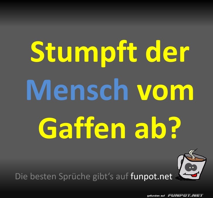 Stumpft der Mensch vom Gaffen ab? - Spruchbild