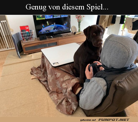 Hund blockiert das Spiel eines Spielers