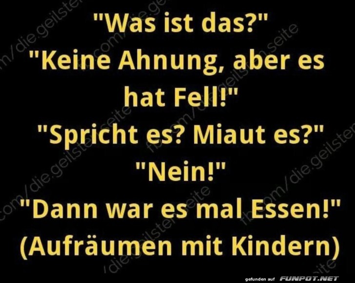 Aufrumen mit Kindern: Ein lustiger Dialog