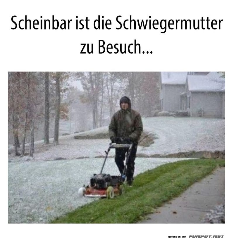 Rasenmhen im Schnee fr den Schwiegermutterbesuch