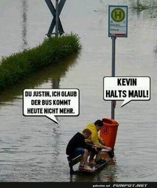 Lustiges Bild bei Hochwasser an Haltestelle