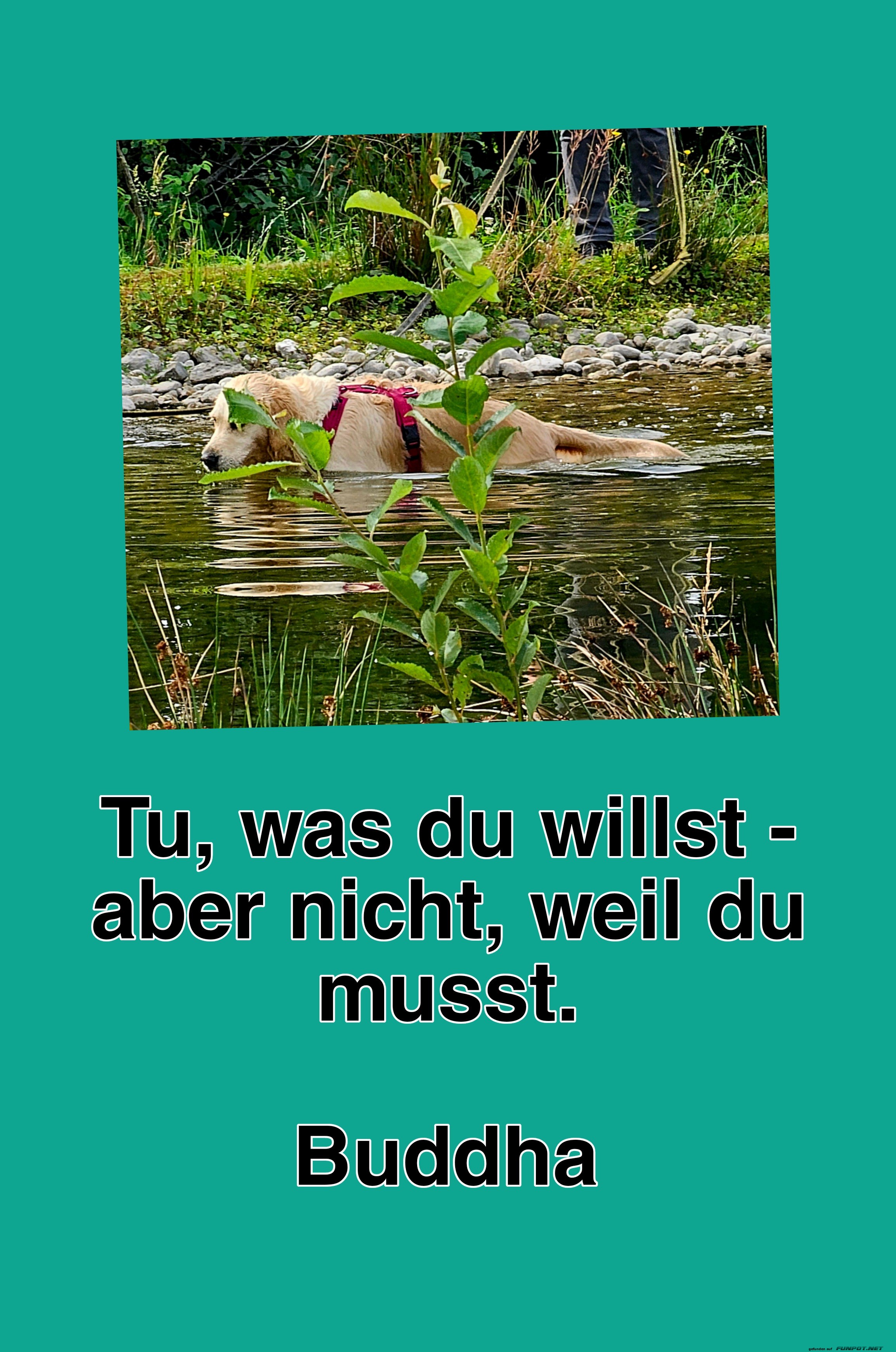 tu, was du willst