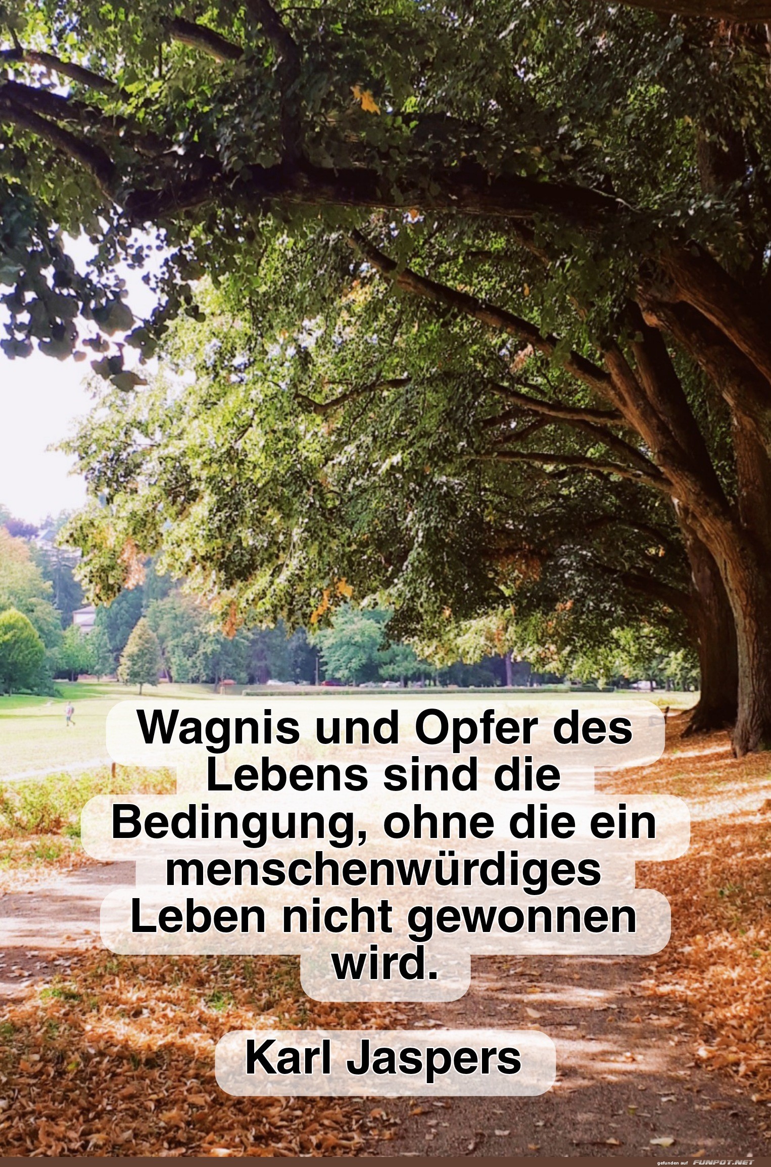 Weisheit ber das Wagnis des Lebens