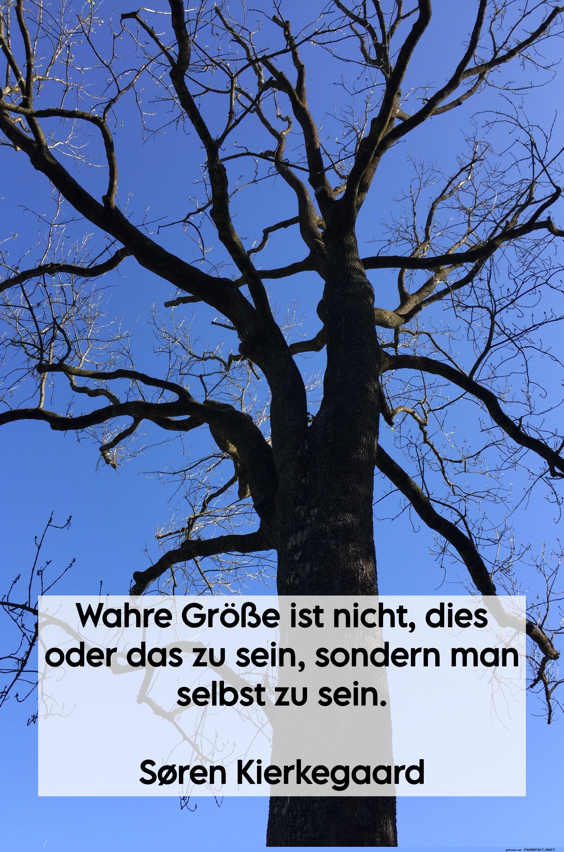 Wahre Gre Zitat vor blauem Himmel