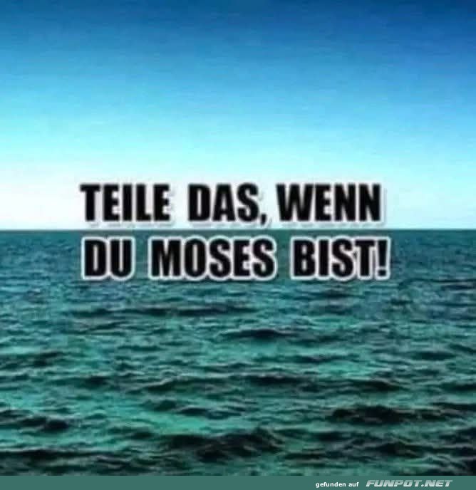 Teile das, wenn du Moses bist!