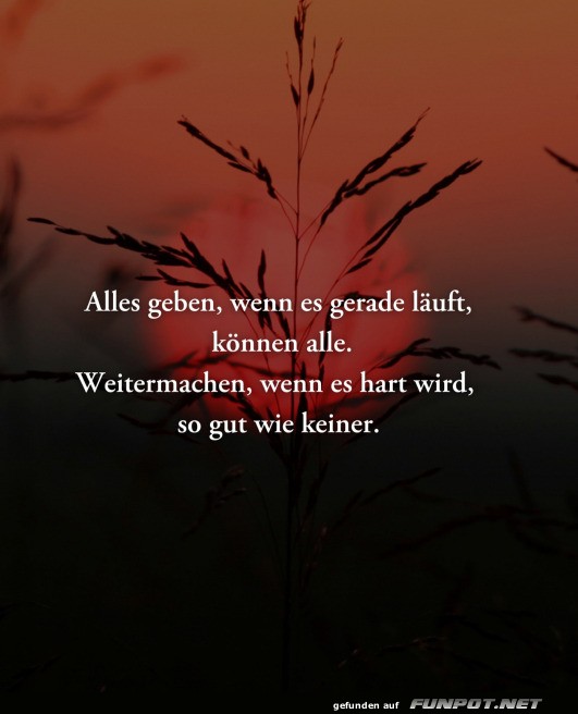 Motivationsspruch bei Sonnenuntergang