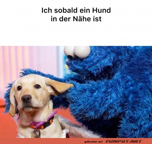 Niedlicher Moment mit Hund und Kuscheltier